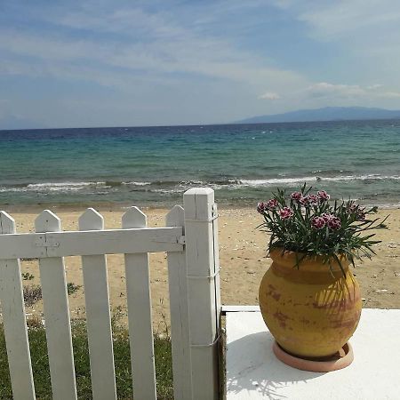 House Kokkalas On The Beach Pyrgadikia Exteriör bild