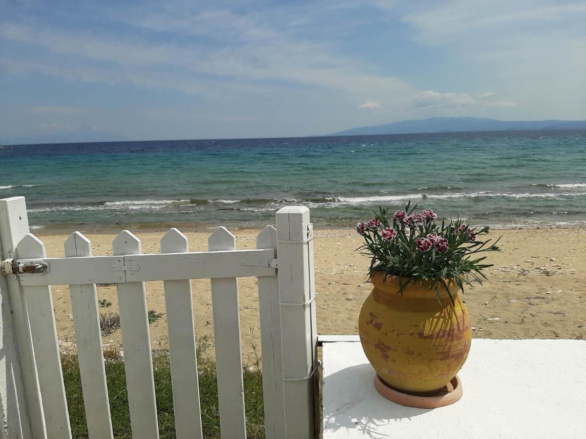 House Kokkalas On The Beach Pyrgadikia Exteriör bild