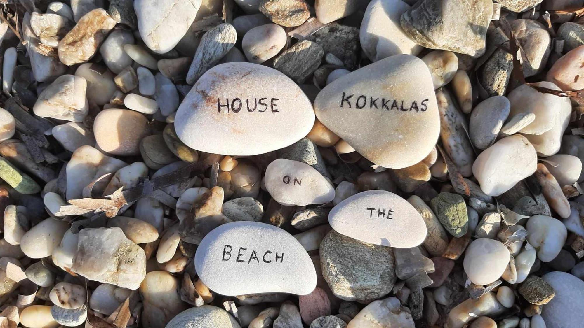 House Kokkalas On The Beach Pyrgadikia Exteriör bild